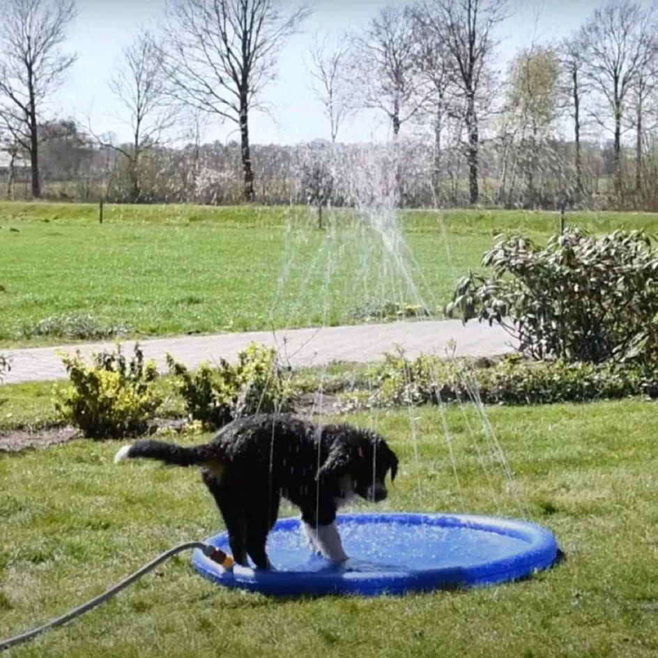 CoolPaws | Splash Sprinkler Pad