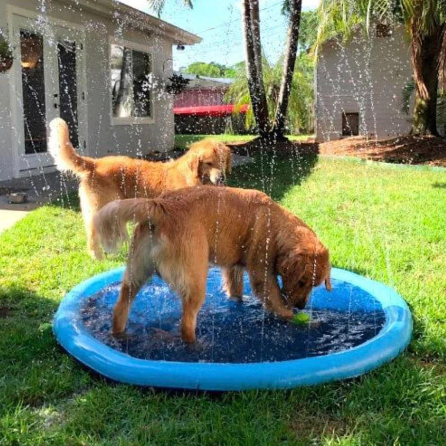 CoolPaws | Splash Sprinkler Pad